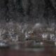 vem-chuva?-previsao-alerta-para-volume-de-50-milimetros-e-ventos-de-60-km/h