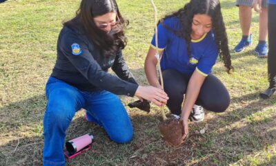 projeto-dourados-+-verde-comeca-com-mudas-de-arvores-plantadas-no-parque-do-lago-|-portal-prefeitura-de-dourados