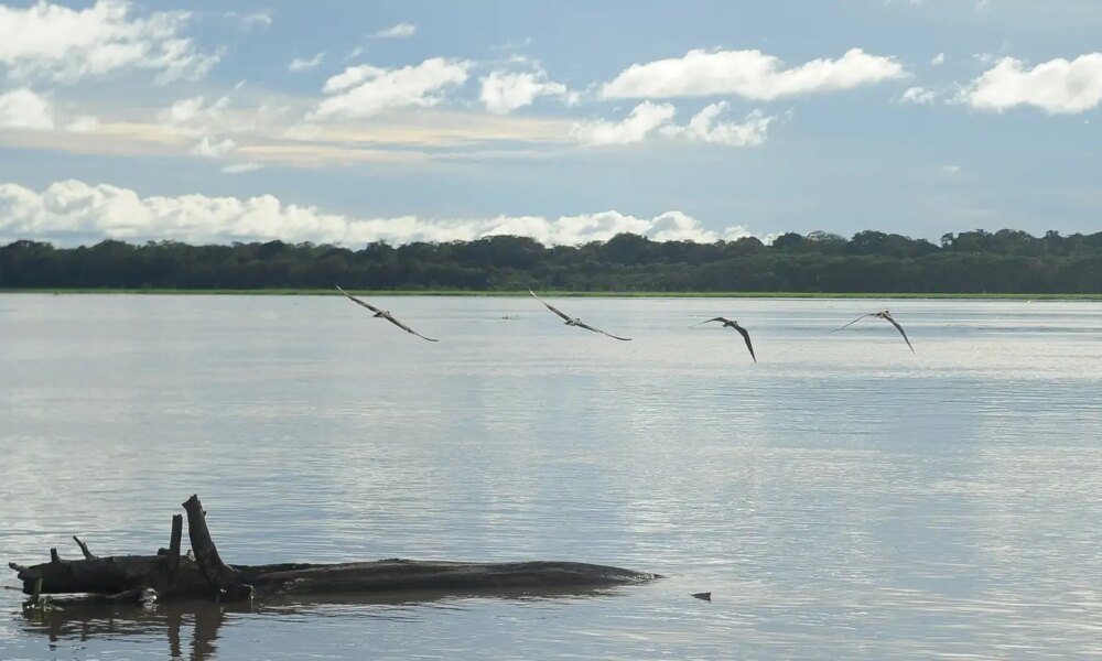 seca:-governo-paga-auxilio-para-pescadores-da-regiao-norte