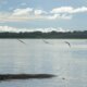 seca:-governo-paga-auxilio-para-pescadores-da-regiao-norte