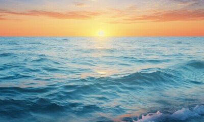 explore-o-melhor-de-miami:-natureza-e-aventura-com-passeios-de-barco-e-excursoes-nos-everglades