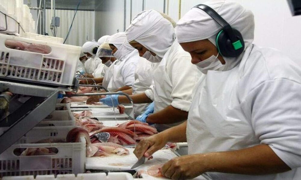 frigorifico-esta-com-mais-de-200-vagas-para-operador-de-producao-abertas-em-dourados
