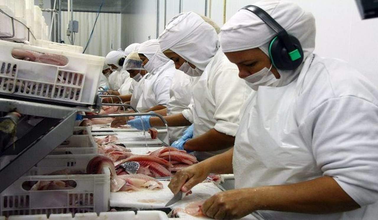 frigorifico-esta-com-mais-de-200-vagas-para-operador-de-producao-abertas-em-dourados