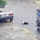video:-cachorro-e-abandonado-ao-ser-jogado-de-moto-em-movimento