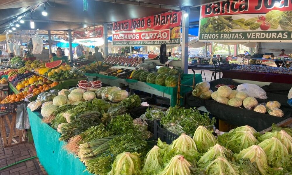 prefeitura-divulga-dias-e-horarios-especiais-de-funcionamento-da-feira-municipal-|-portal-prefeitura-de-dourados