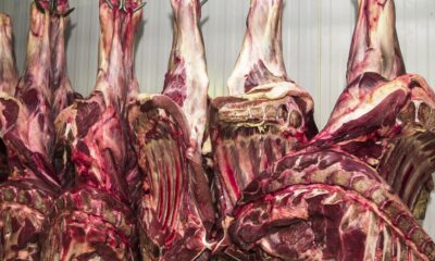 china-abre-investigacao-sobre-importacao-de-carne-bovina