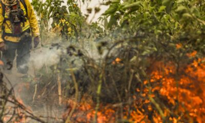 brasil-tem-1-milhao-de-focos-de-queimada-registrados-em-5-anos