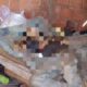 agricultor-e-encontrado-morto-em-pedro-juan-com-sinais-de-espancamento-na-cabeca