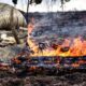 medidas-provisorias-de-preservacao-do-pantanal-aguardam-decisao-no-congresso
