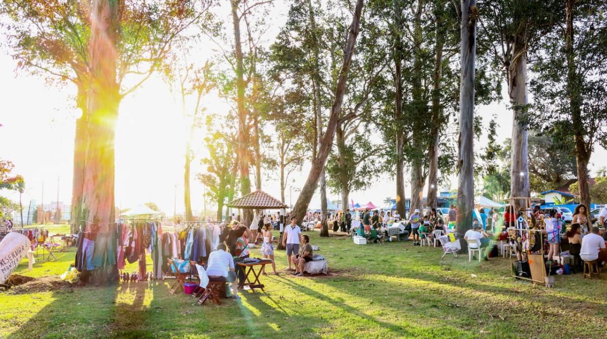 agenda:-feiras-ziriguidum,-borogodo-e-arte-com-missao-animam-fim-de-semana-em-campo-grande