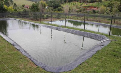 prefeitura-isenta-de-licenca-ambiental-projetos-de-piscicultura-de-ate-2-hectares-–-portal-prefeitura-de-dourados