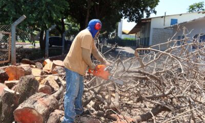 trechos-da-hayel-bon-faker-serao-interditados-sabado-para-supressao-de-arvores-–-portal-prefeitura-de-dourados