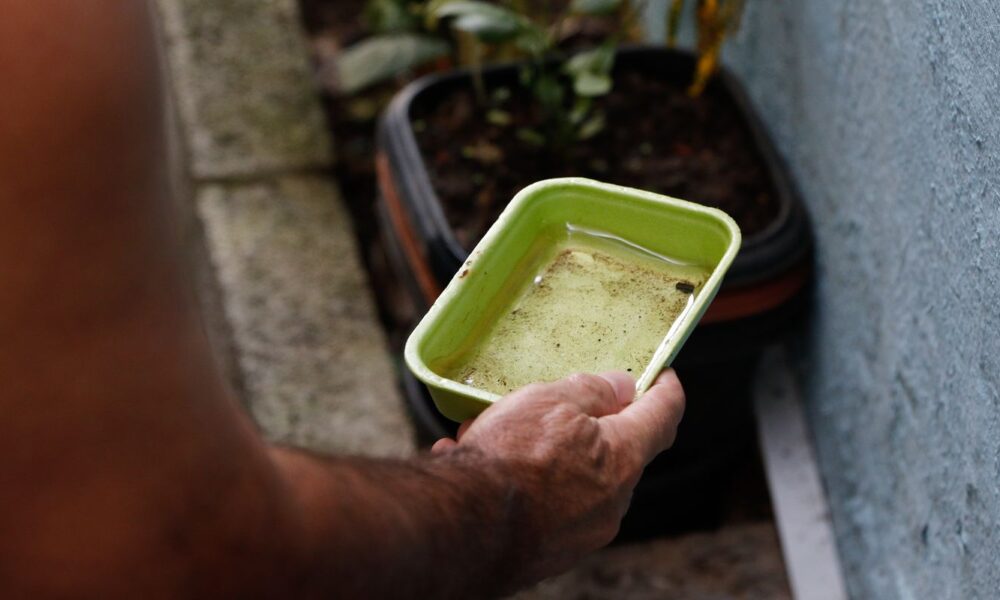 menina-e-primeira-morte-por-dengue-confirmada-na-capital-de-sao-paulo