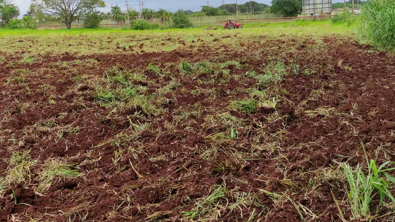 prefeitura-apoia-produtores-da-agricultura-familiar-no-cultivo-de-hortalicas-–-portal-prefeitura-de-dourados