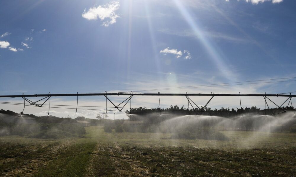 governo-publica-mp-com-credito-extraordinario-de-r$-4-bi-a-plano-safra