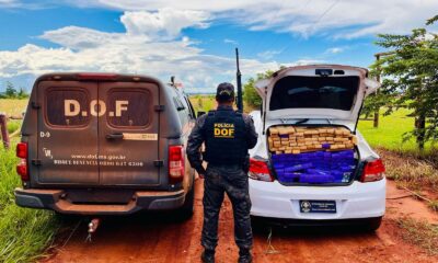 traficante-foge-e-abandona-carro-com-mais-de-meia-tonelada-de-maconha