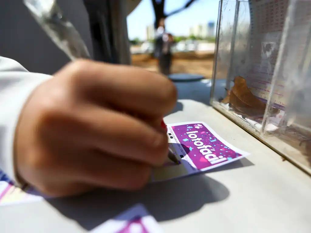 lotofacil:-confira-as-15-dezenas-sorteadas-do-concurso 3336