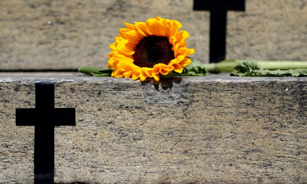 cnj-registra-aumento-de-225%-no-numero-de-julgamentos-de-feminicidio