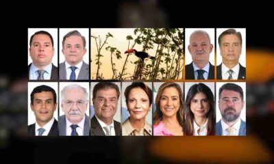 acao-conjunta-da-bancada-de-ms-pode-avancar-pec-do-pantanal-em-comissoes-da-camara
