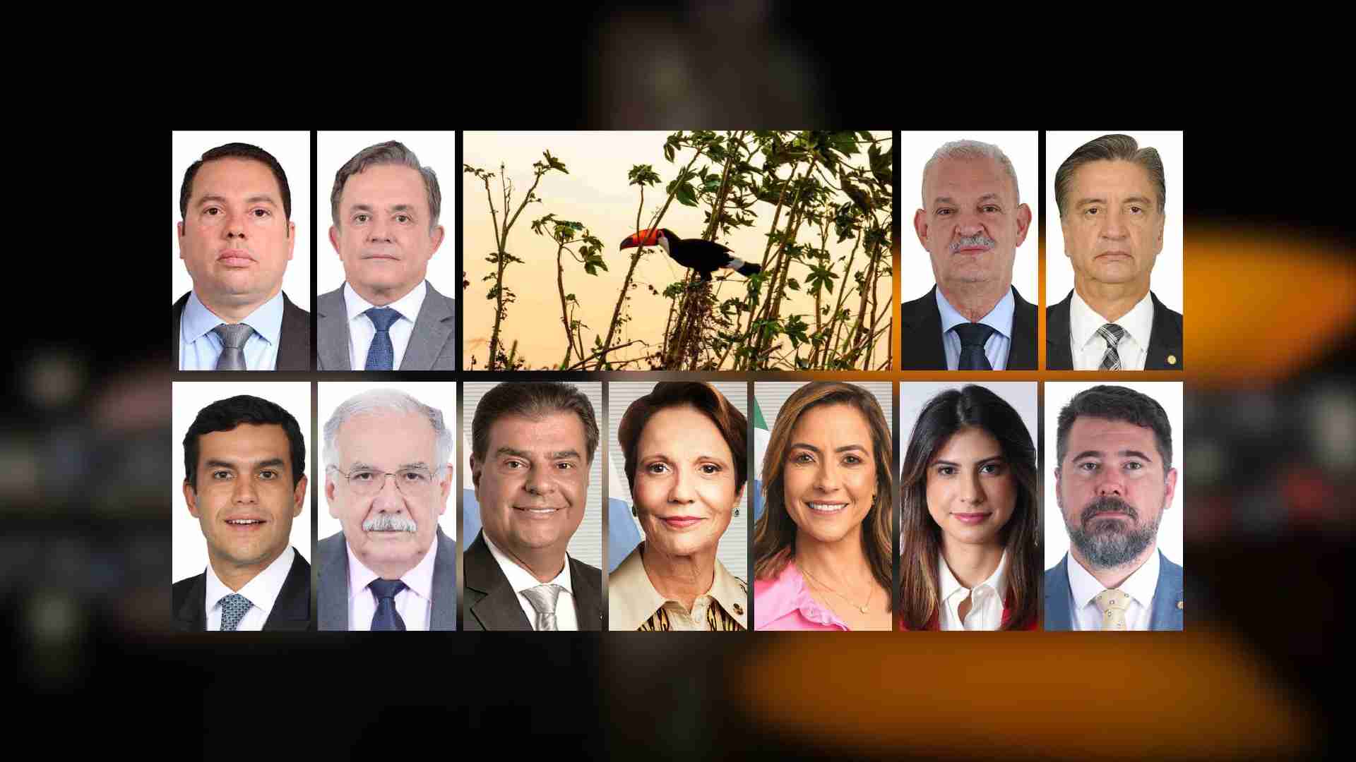 acao-conjunta-da-bancada-de-ms-pode-avancar-pec-do-pantanal-em-comissoes-da-camara