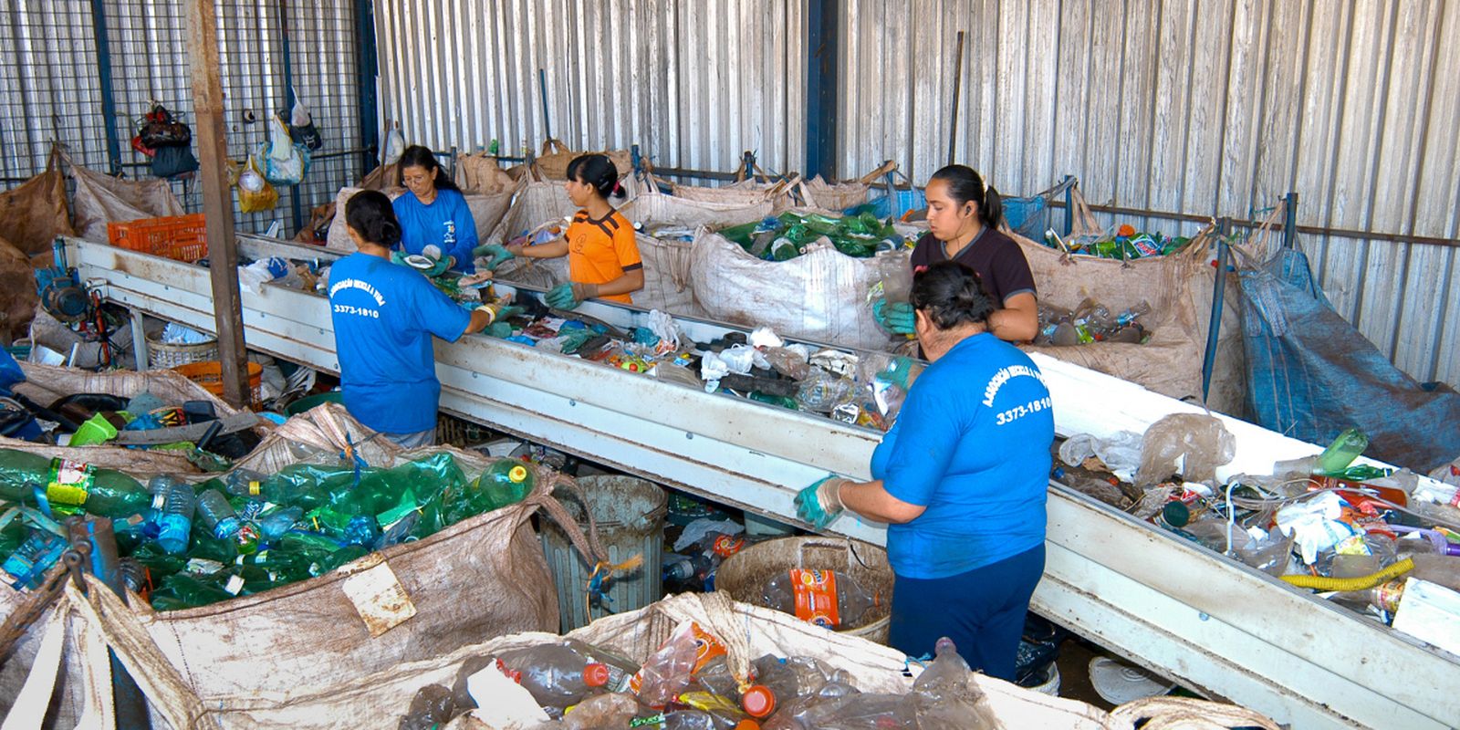 em-dois-anos,-pais-aumenta-reciclagem-de-embalagens-pet-em-14%