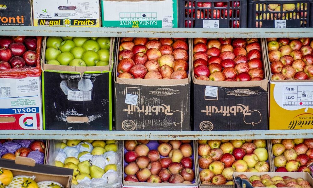 em-paris,-autoridades-pedem-investimentos-globais-no-combate-a-fome