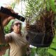 mapeamento-da-saude-revela-aumento-de-dengue-em-areas-rurais-de-ms-–-folha-de-dourados-–-noticias-de-dourados-ms-e-regiao