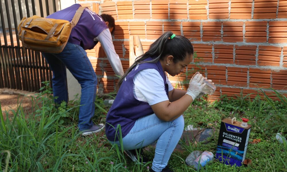 com-chuvas-constantes,-ccz-reforca-sobre-cuidados-para-evitar-a-dengue-–-portal-prefeitura-de-dourados