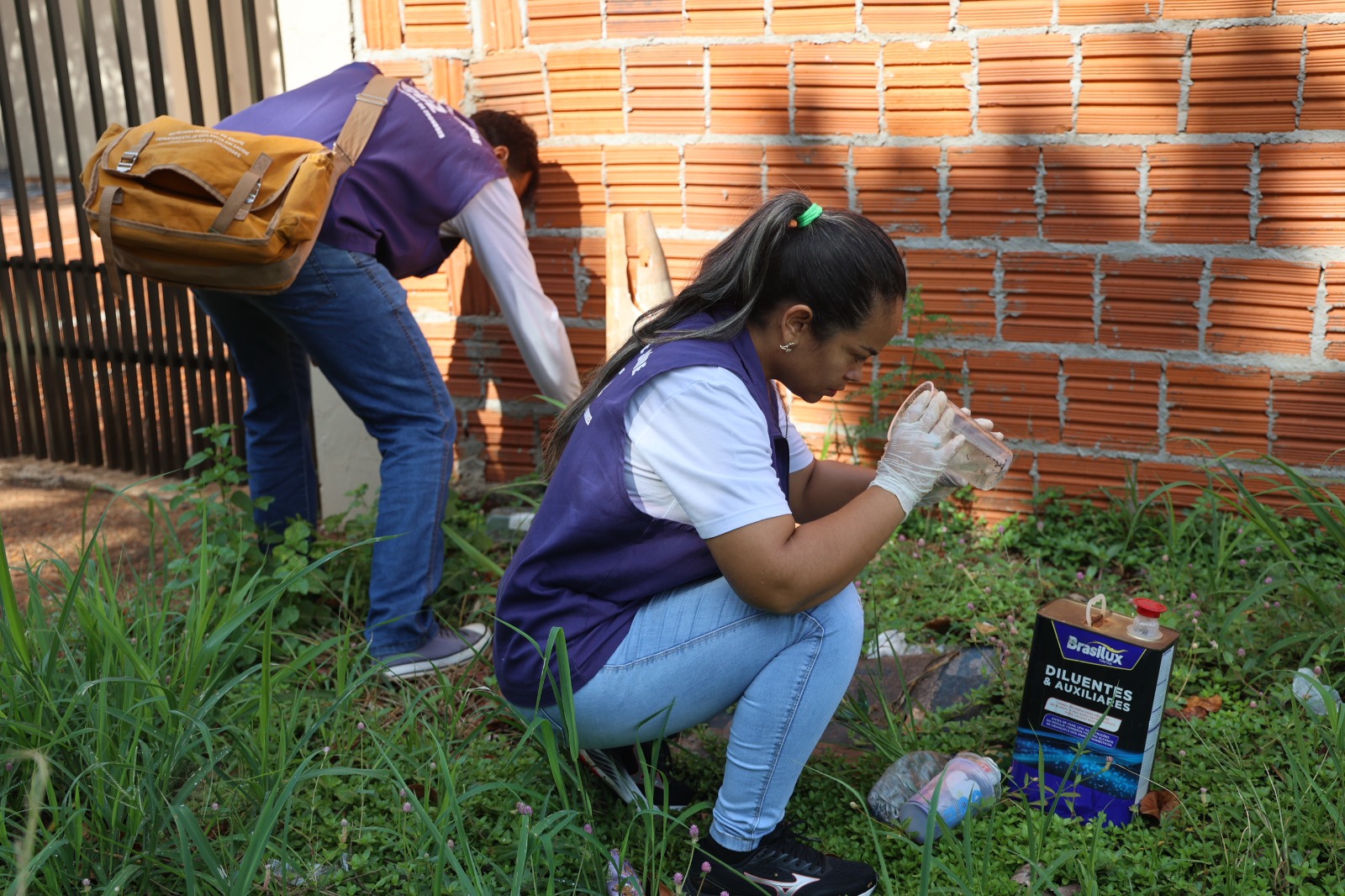 com-chuvas-constantes,-ccz-reforca-sobre-cuidados-para-evitar-a-dengue-–-portal-prefeitura-de-dourados