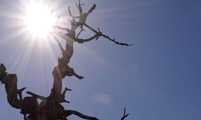 cmn-prorroga-financiamentos-do-fundo-constitucional-do-nordeste