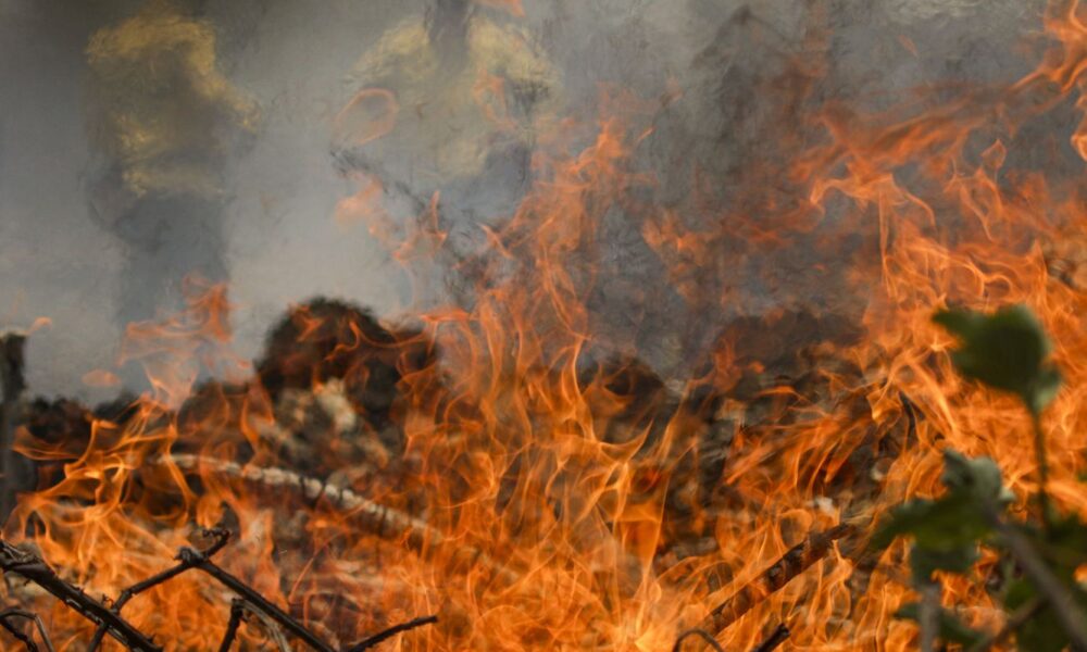 numero-de-envolvidos-em-conflitos-por-terra-salta-para-900-mil-em-2024