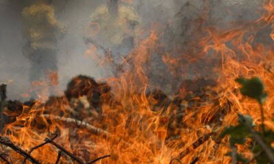 numero-de-envolvidos-em-conflitos-por-terra-salta-para-900-mil-em-2024