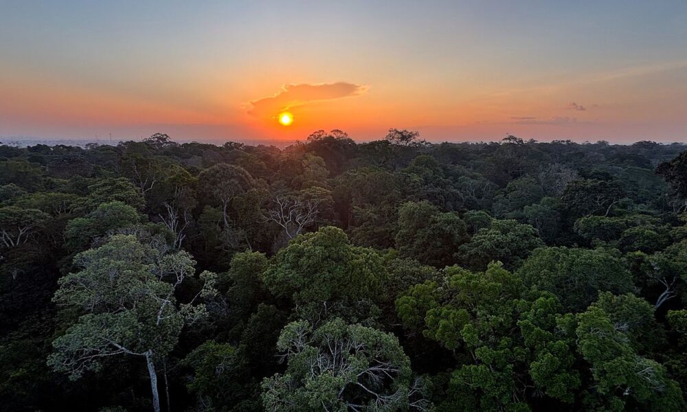 comeca-hoje-em-brasilia-a-5a-conferencia-nacional-do-meio-ambiente