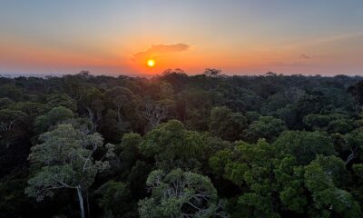 comeca-hoje-em-brasilia-a-5a-conferencia-nacional-do-meio-ambiente