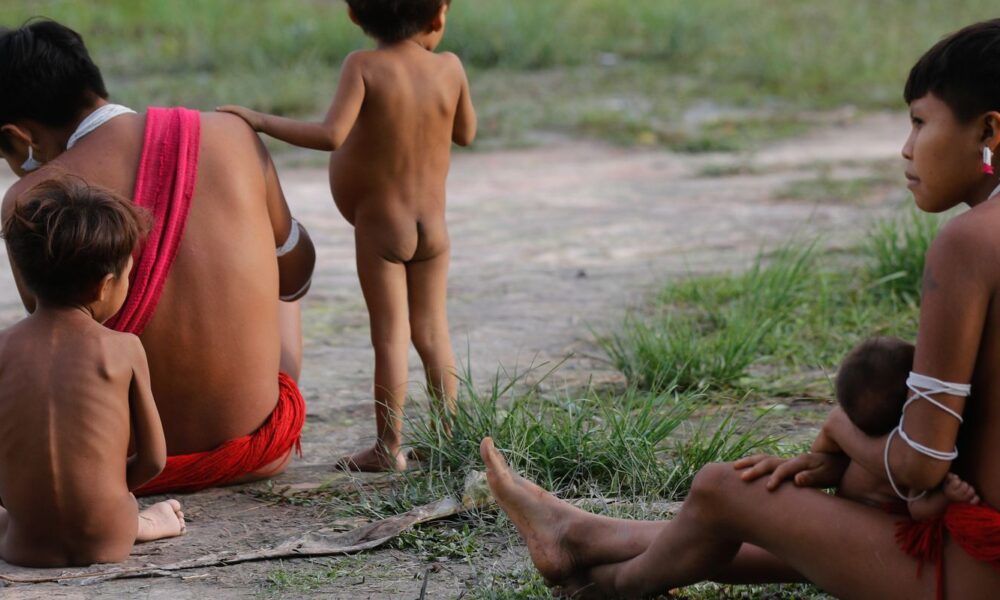 numero-de-obitos-no-territorio-yanomami-teve-reducao-de-21%-em-2024