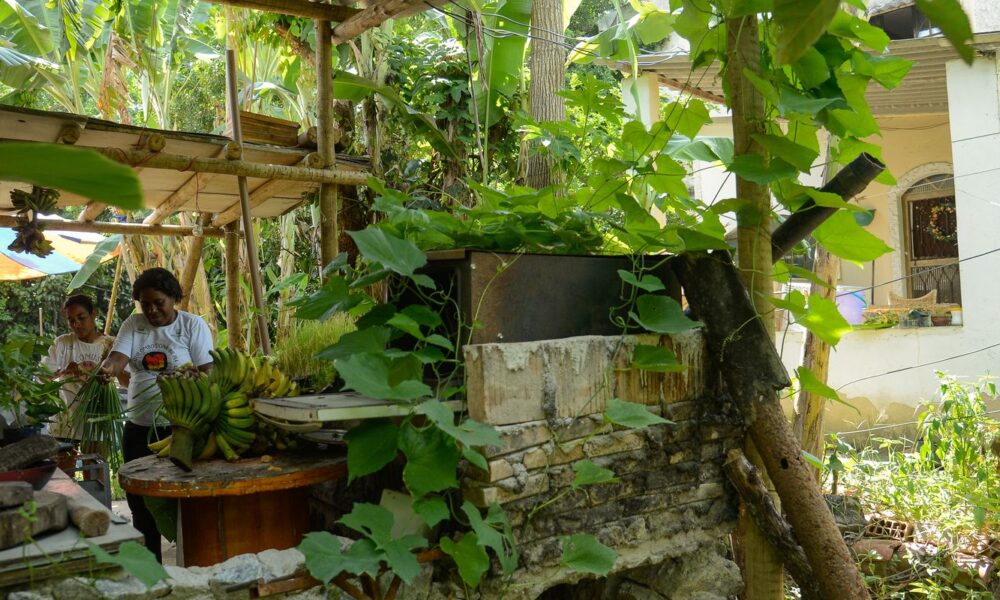 seis-em-cada-dez-quilombolas-vivem-em-area-rural,-revela-censo-do-ibge