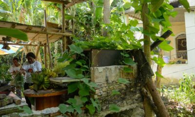 seis-em-cada-dez-quilombolas-vivem-em-area-rural,-revela-censo-do-ibge