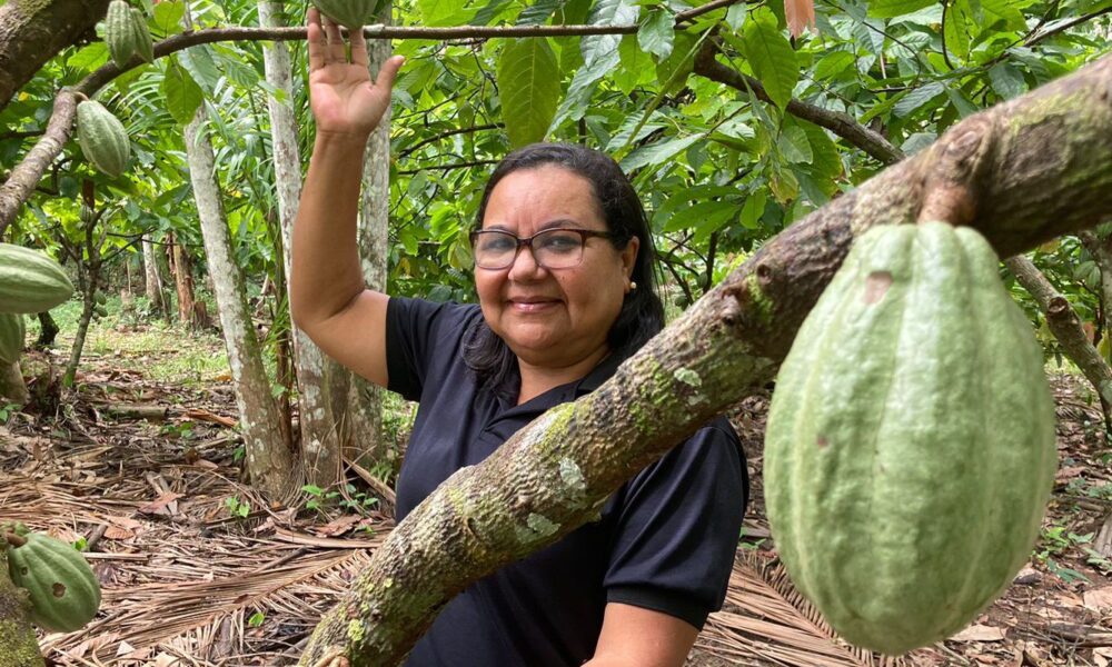 potencial-para-bioeconomia-atrai-investimentos-na-amazonia