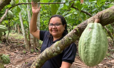 potencial-para-bioeconomia-atrai-investimentos-na-amazonia