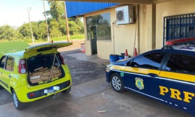 motorista-e-preso-com-404-kg-de-maconha-que-levava-do-paraguai-a-sao-paulo