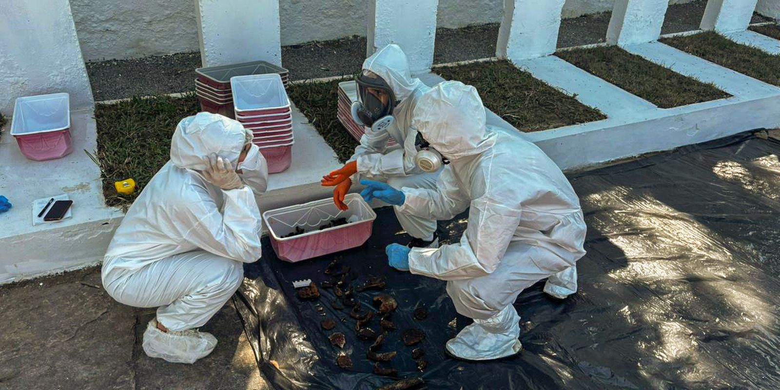 rio:-equipe-encontra-memorial-para-mortos-da-ditadura-em-deterioracao