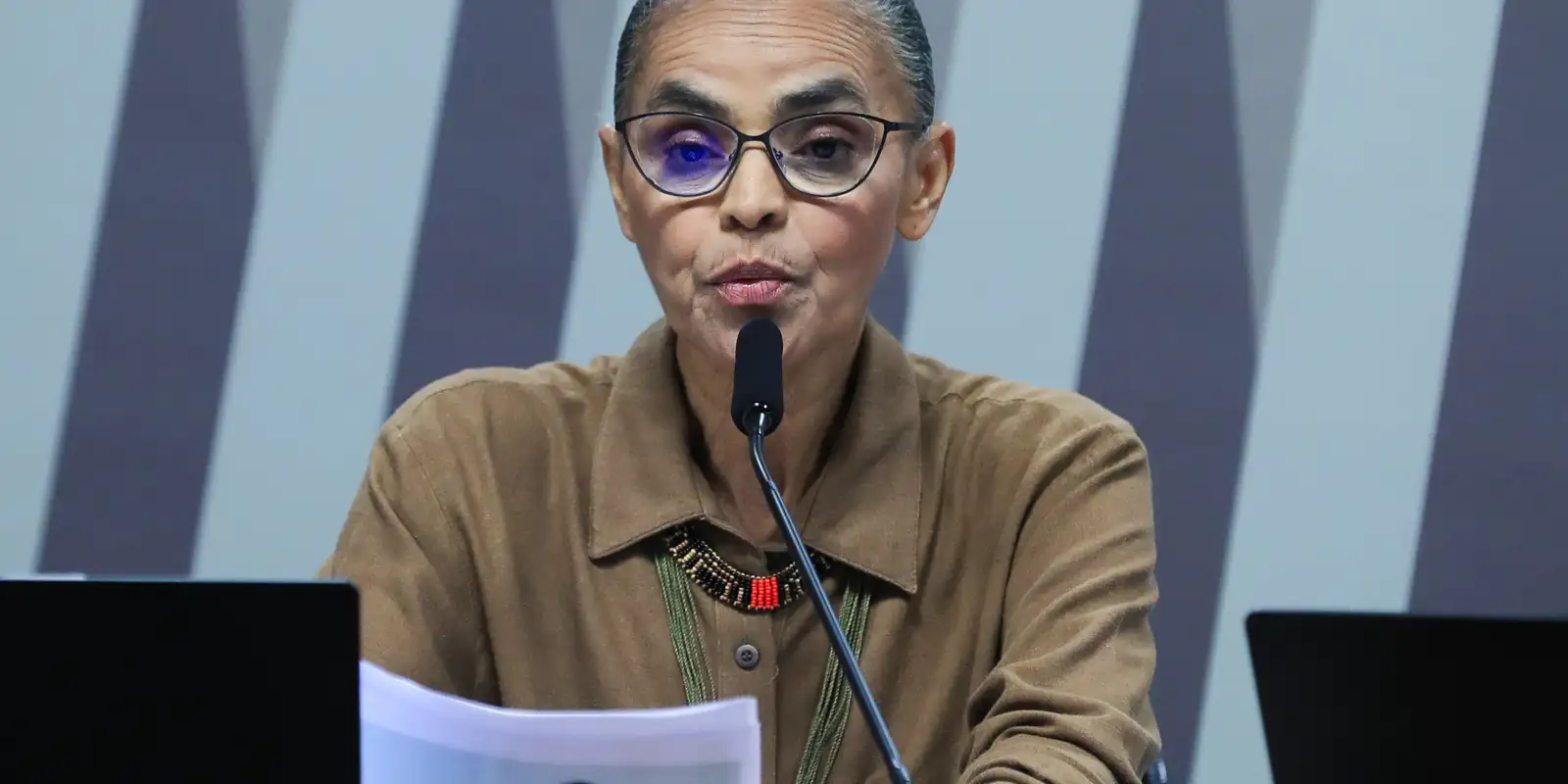 oposicao-a-protecao-ambiental-tenta-silenciar-marina,-dizem-analistas