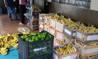 prefeitura-ja-distribuiu-quase-10-toneladas-de-alimentos-atraves-do-paa-–-portal-prefeitura-de-dourados