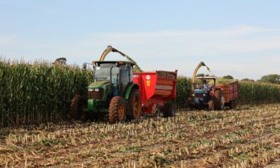 prefeitura-apoia-colheita-de-silagem-e-fortalece-producao-de-leite-em-distritos-–-portal-prefeitura-de-dourados