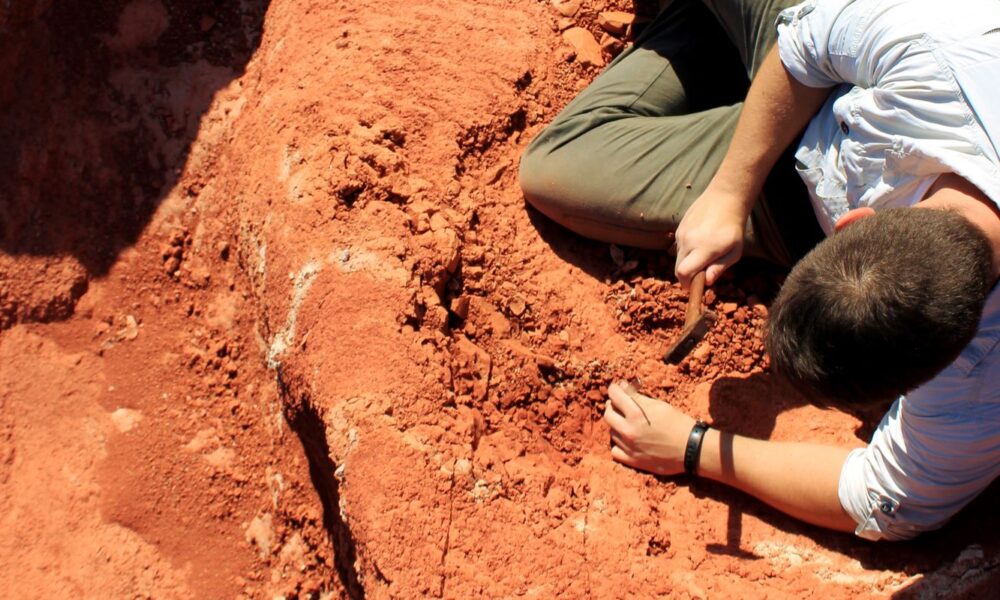 fossil-descoberto-no-brasil-lanca-luz-sobre-origem-dos-dinossauros