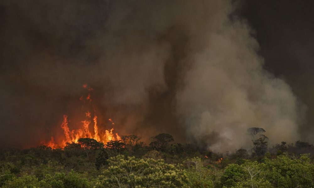 camara-aprova-aumento-de-punicao-a-quem-provocar-incendios-florestais