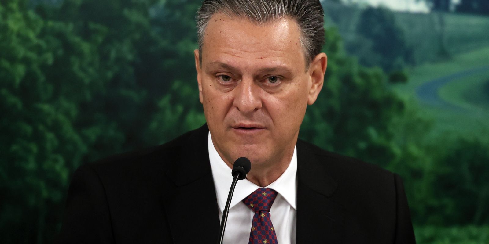 combate-a-gripe-aviaria-mostra-eficiencia-do-brasil,-diz-ministro