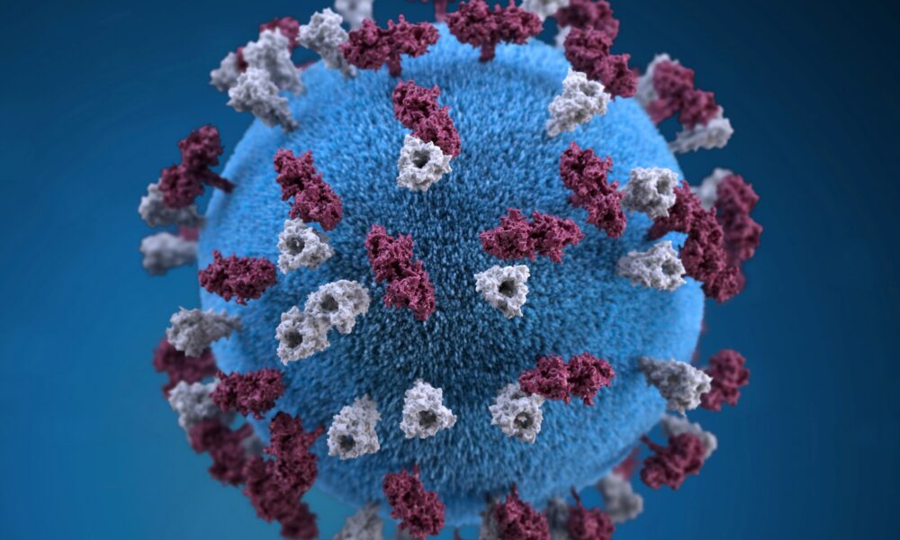 surto-de-sarampo-no-canada:-bebe-morre-apos-contrair-infeccao-de-mae-nao-vacinada