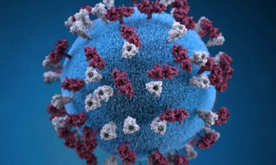 surto-de-sarampo-no-canada:-bebe-morre-apos-contrair-infeccao-de-mae-nao-vacinada