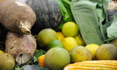 preco-da-cesta-basica-cai-em-15-de-17-capitais-pesquisadas